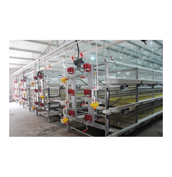 永州肉鸡笼养系统