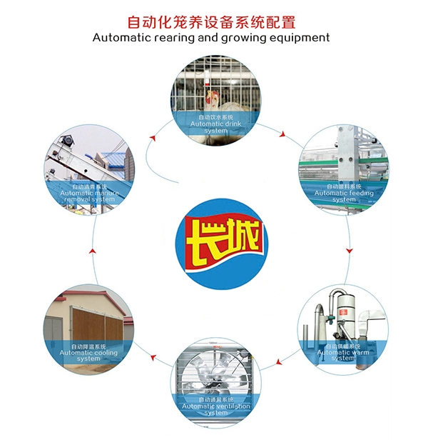 永州肉鸡自动饮水系统