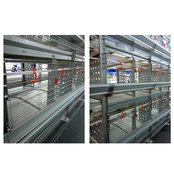 运城层叠式种鸡笼养装备