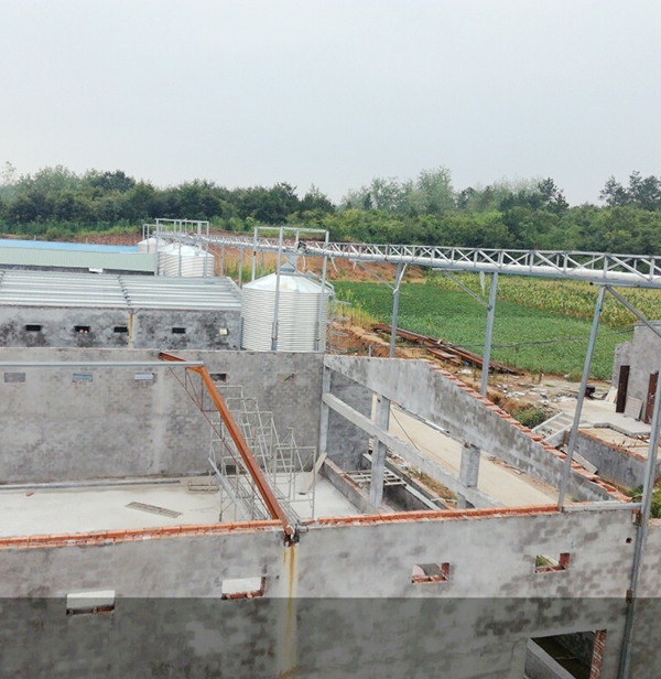 运城蛋鸡自动送料系统