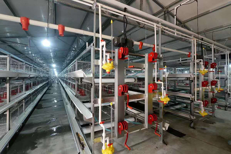 肉鸡装备喂料机为什么会梗塞？