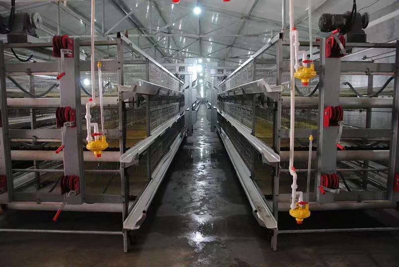 你知道肉鸡装备加料机的组成吗？？