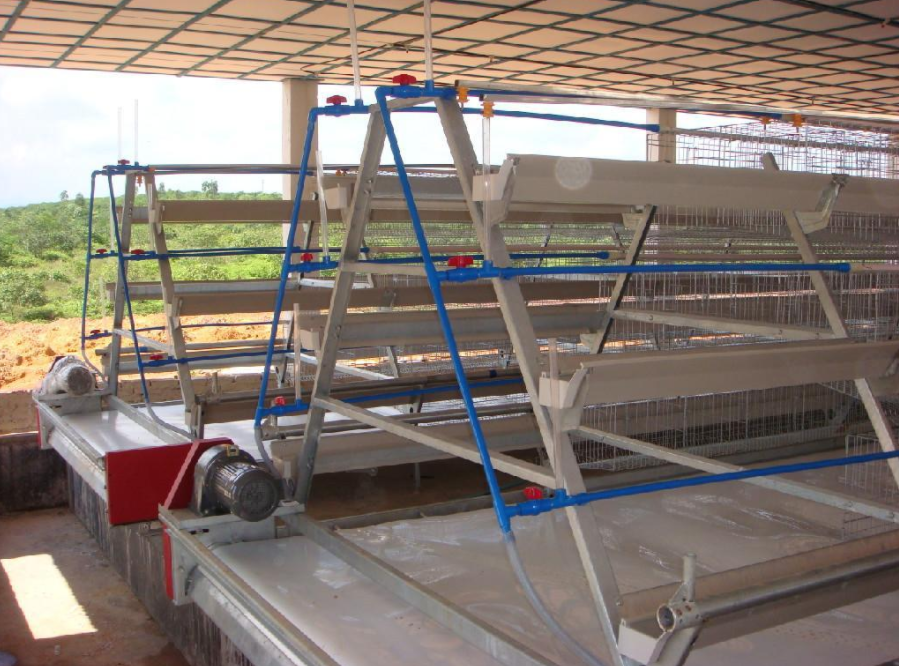 磨练全自动养鸡装备的清静有什么需要注重的事项吗？