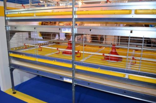 怎样给肉鸡装备风机镌汰噪音吗？？