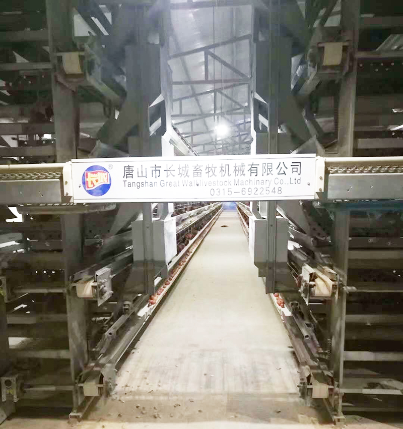 若是您想用自动化装备养蛋鸡，，，哪些蛋鸡装备是必不可少的？？？