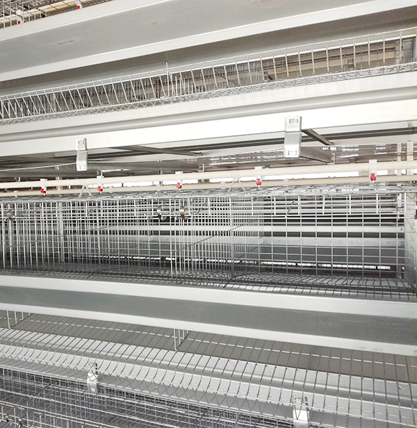 规；；；远ψ氨傅闹卫碇贫